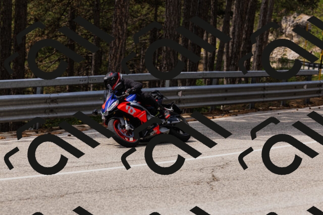 202508161242-_04A1165_c3