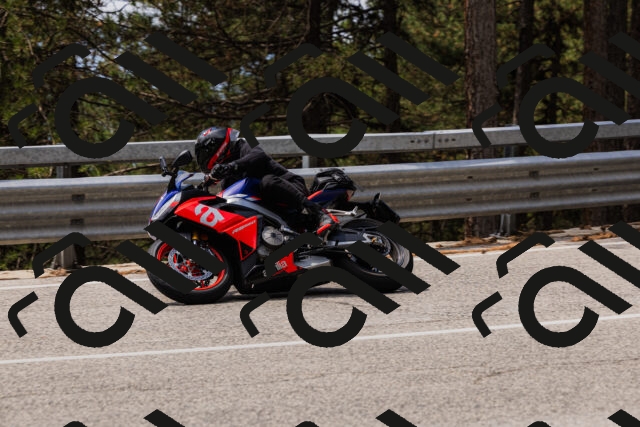 202508161242-_04A1166_c3