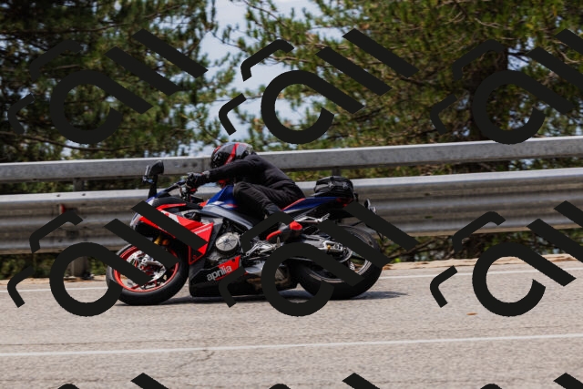 202508161242-_04A1167_c3