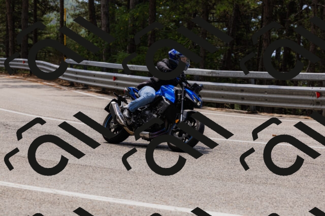 202508161242-_04A1174_c3