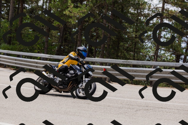 202508161242-_04A1180_c3