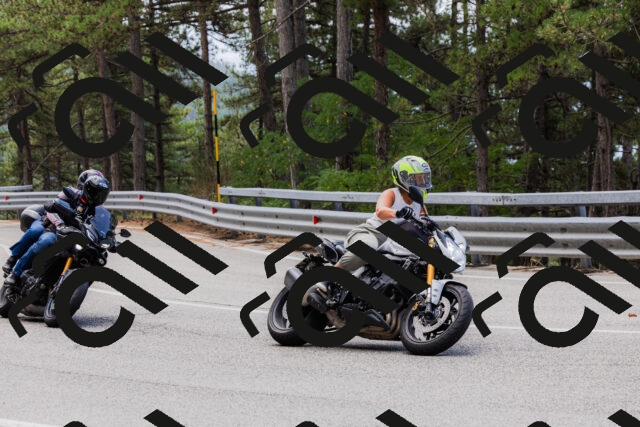 202508161245-_04A1186_c3