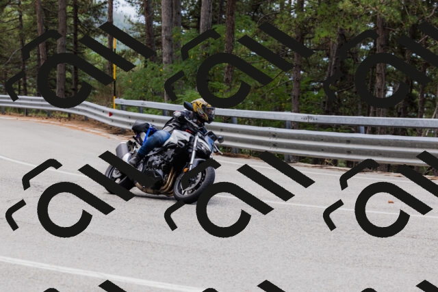 202508161247-_04A1194_c3