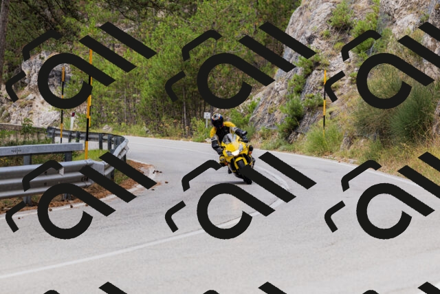 202508161248-_04A1196_c3