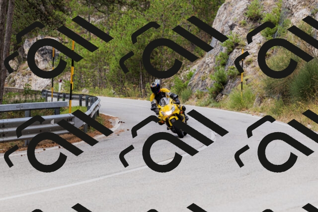 202508161248-_04A1197_c3