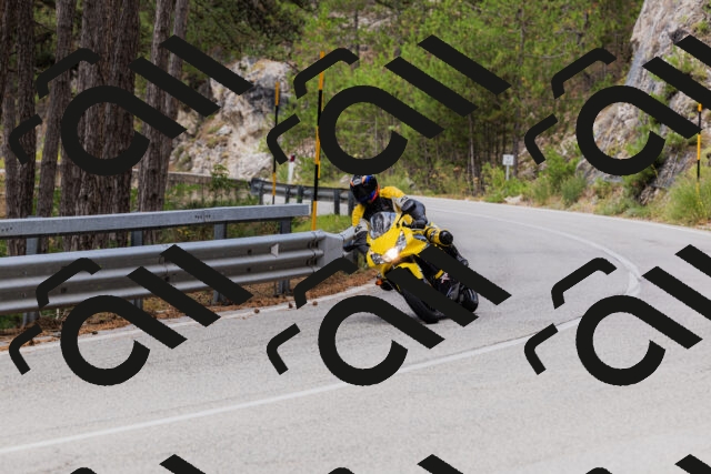 202508161248-_04A1198_c3