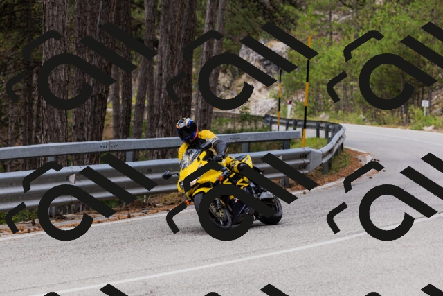 202508161248-_04A1199_c3