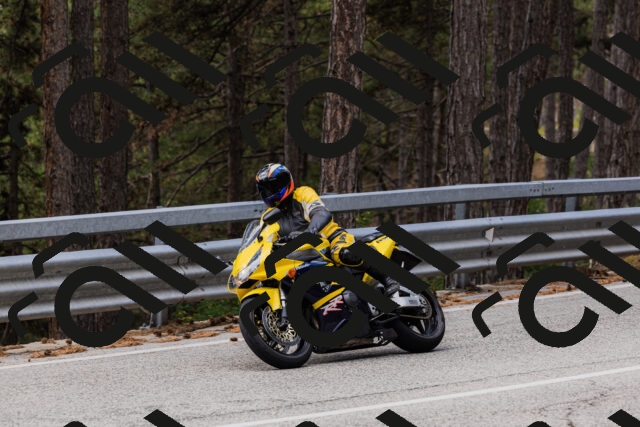 202508161248-_04A1200_c3