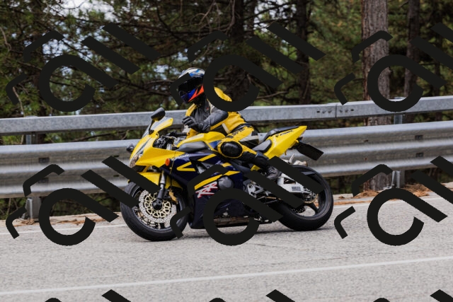 202508161248-_04A1201_c3