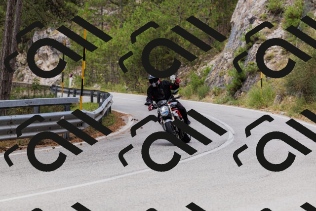 202508161248-_04A1203_c3