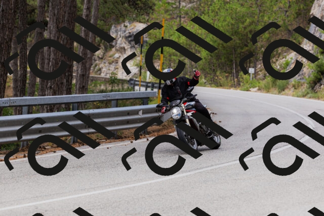 202508161248-_04A1204_c3