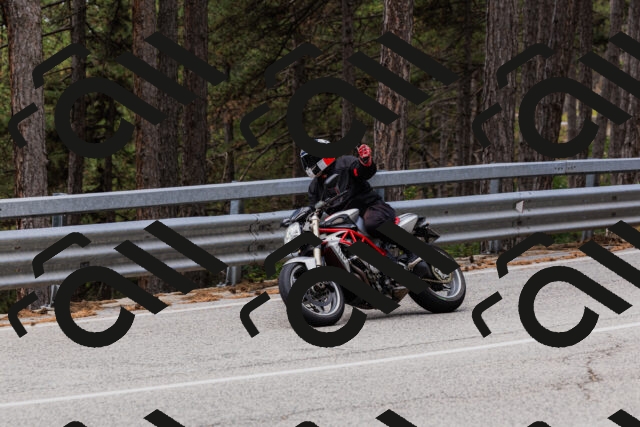 202508161248-_04A1206_c3