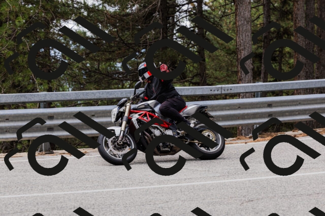 202508161248-_04A1207_c3