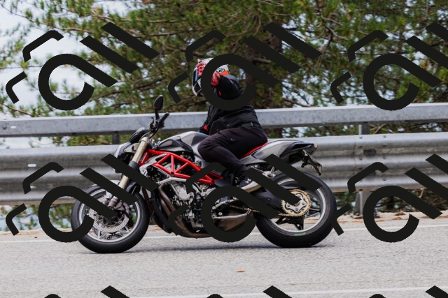 202508161248-_04A1208_c3