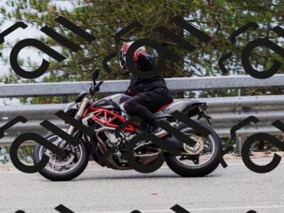 202508161248-_04A1208_c3