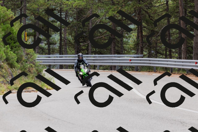 202508161249-_04A1209_c3