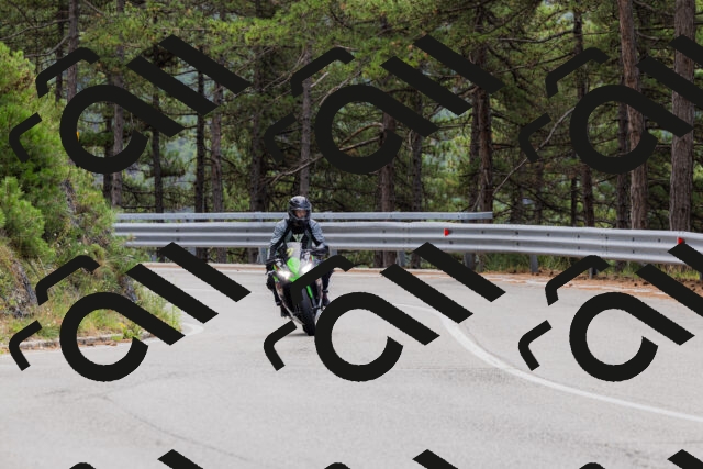 202508161249-_04A1210_c3