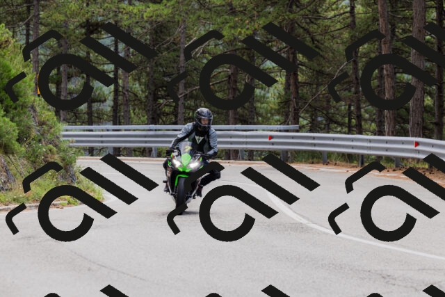 202508161249-_04A1211_c3