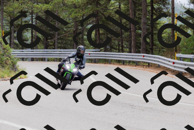 202508161249-_04A1212_c3