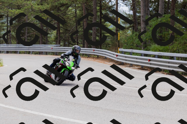 202508161249-_04A1213_c3