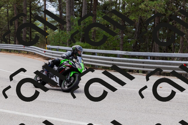 202508161249-_04A1214_c3