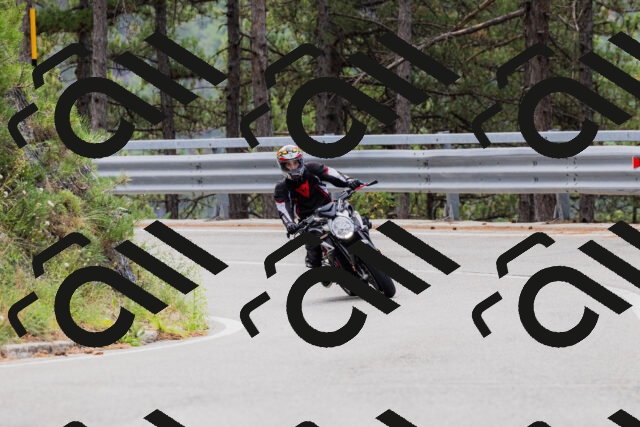 202508161249-_04A1216_c3