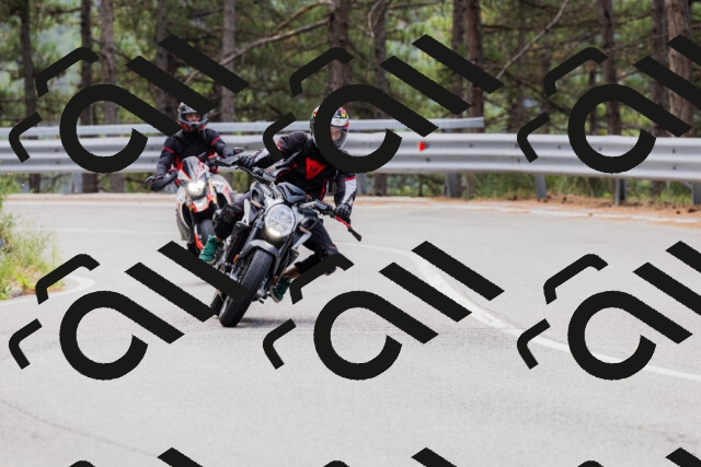 202508161249-_04A1220_c3