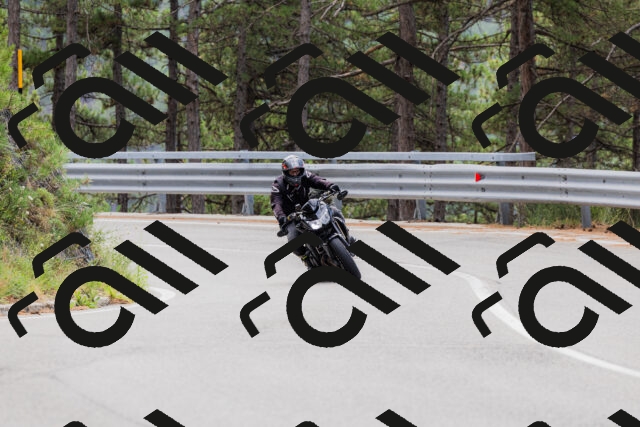 202508161250-_04A1225_c3