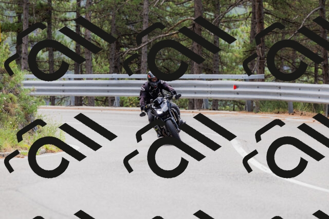 202508161250-_04A1226_c3