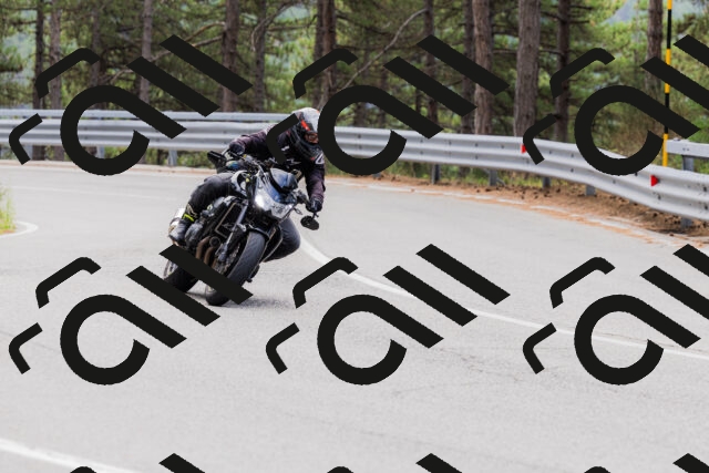 202508161250-_04A1229_c3