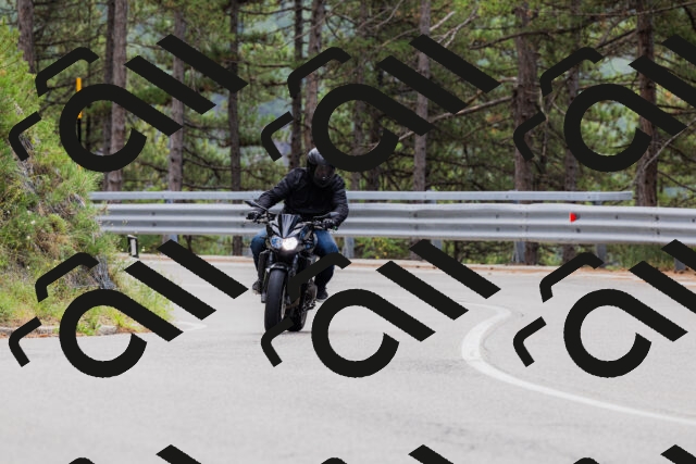 202508161252-_04A1236_c3