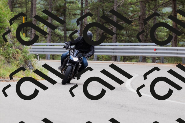 202508161252-_04A1237_c3