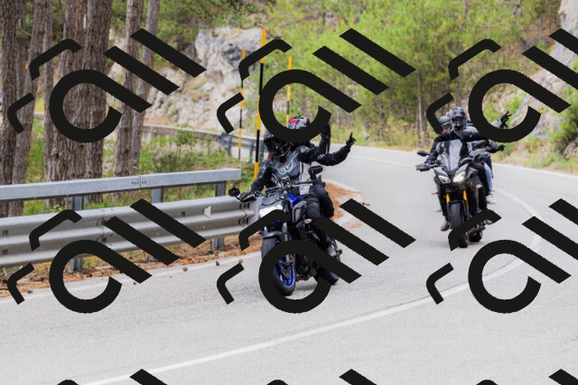 202508161253-_04A1241_c3