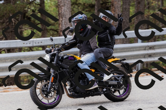 202508161253-_04A1246_c3