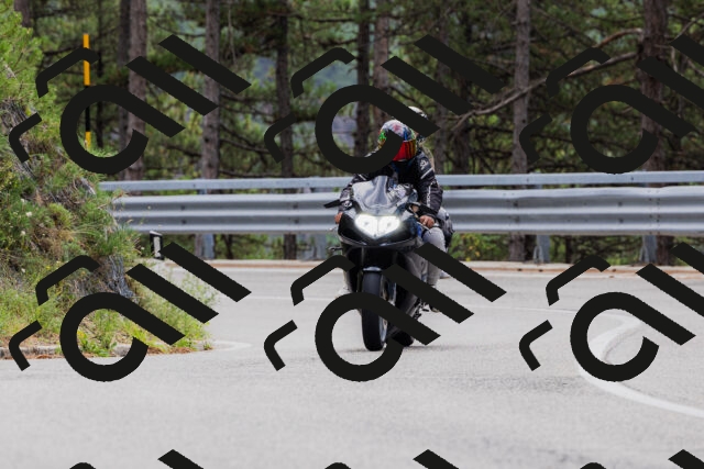 202508161253-_04A1249_c3