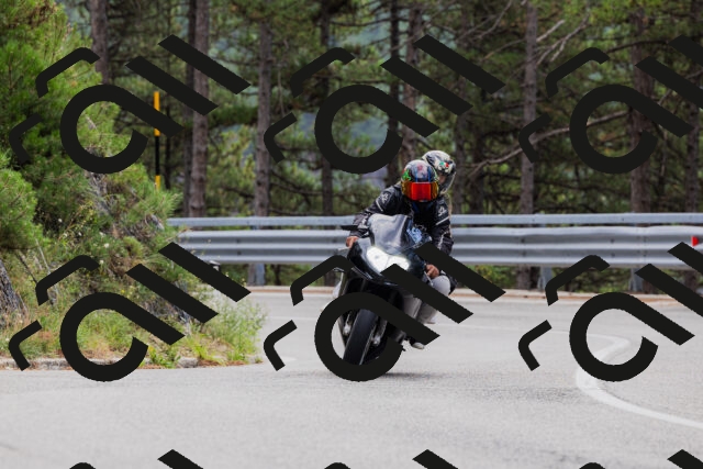 202508161253-_04A1250_c3