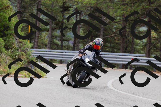 202508161253-_04A1251_c3