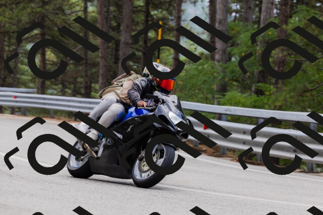 202508161253-_04A1253_c3