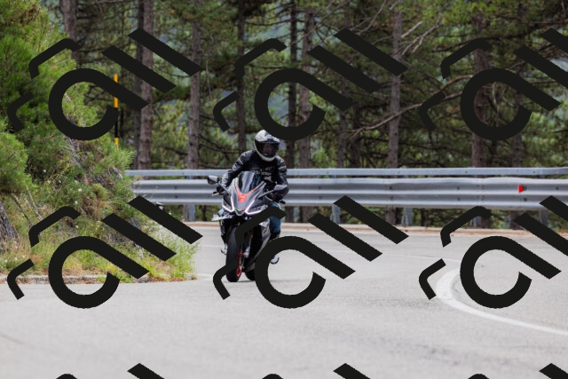 202508161254-_04A1254_c3