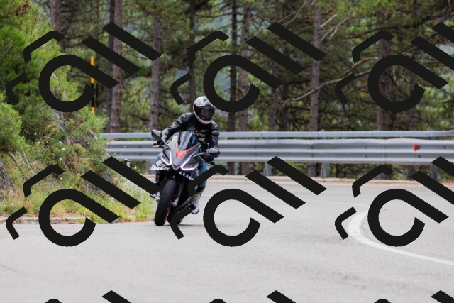 202508161254-_04A1255_c3