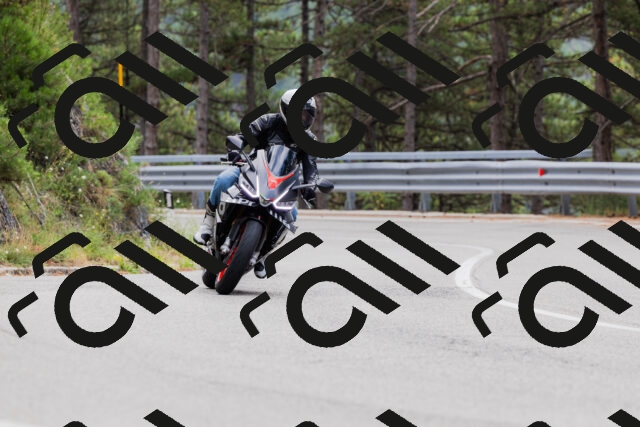 202508161254-_04A1256_c3