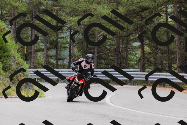 202508161254-_04A1260_c3