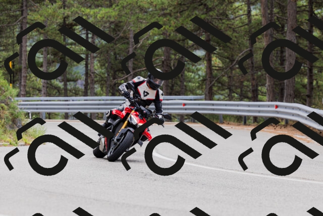 202508161254-_04A1261_c3