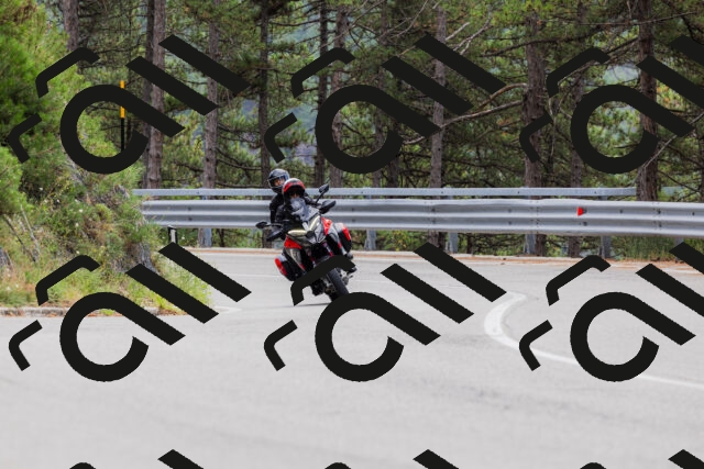 202508161254-_04A1264_c3