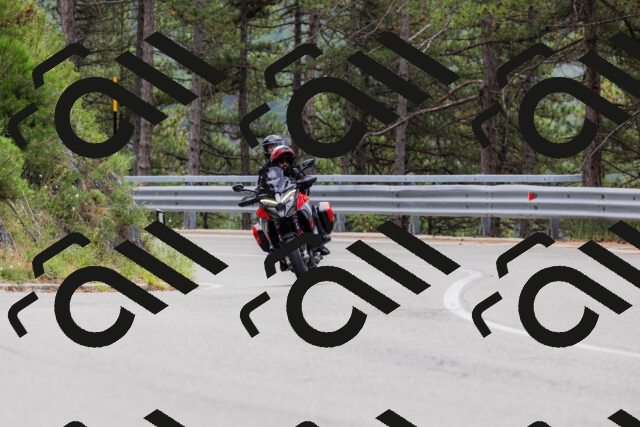 202508161254-_04A1265_c3