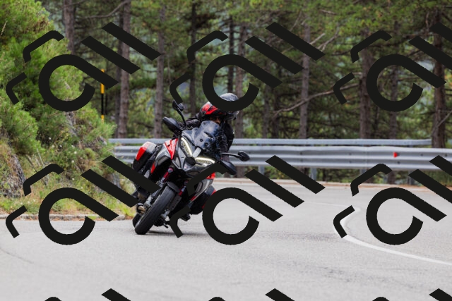 202508161254-_04A1268_c3