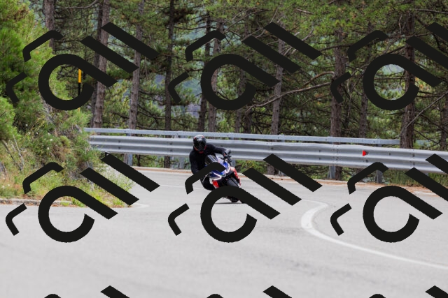 202508161255-_04A1270_c3