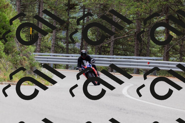 202508161255-_04A1271_c3