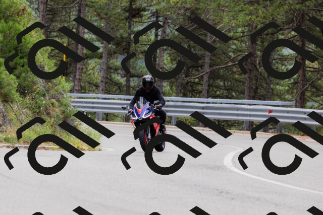 202508161255-_04A1272_c3