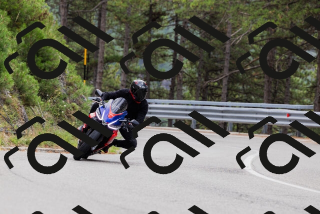 202508161255-_04A1274_c3